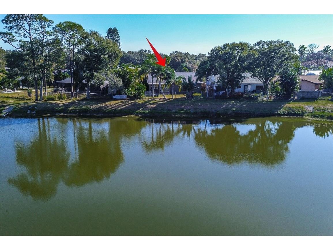 289 Whisper Lake Road Palm Harbor FL 34683 TB8447900 image32