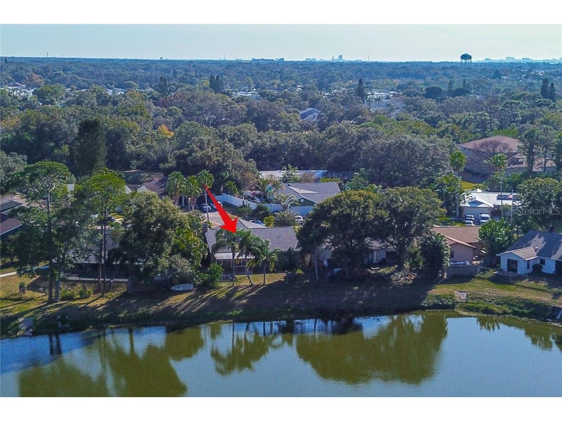 289 Whisper Lake Road Palm Harbor FL 34683 TB8447900 image34