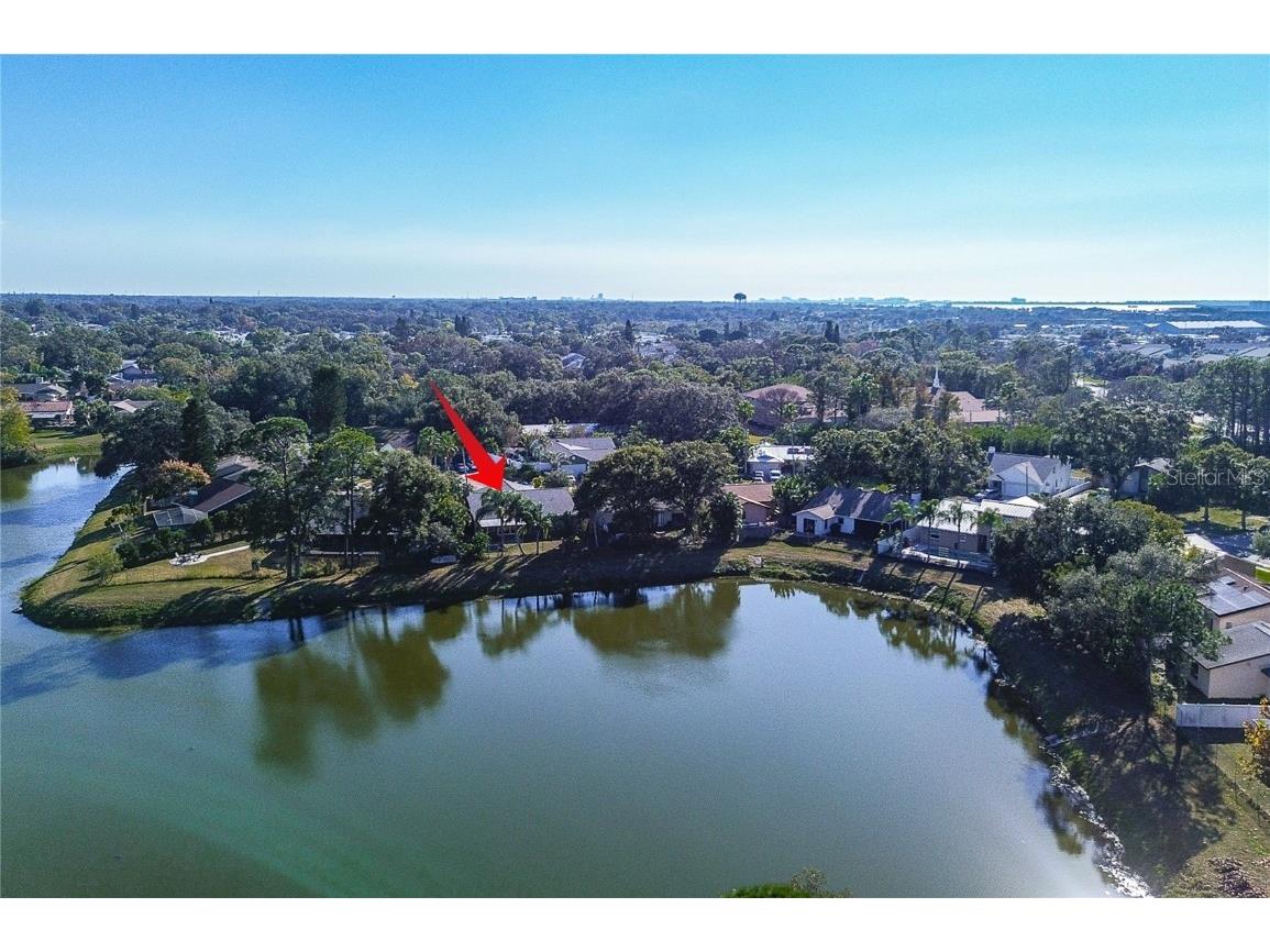 289 Whisper Lake Road Palm Harbor FL 34683 TB8447900 image35