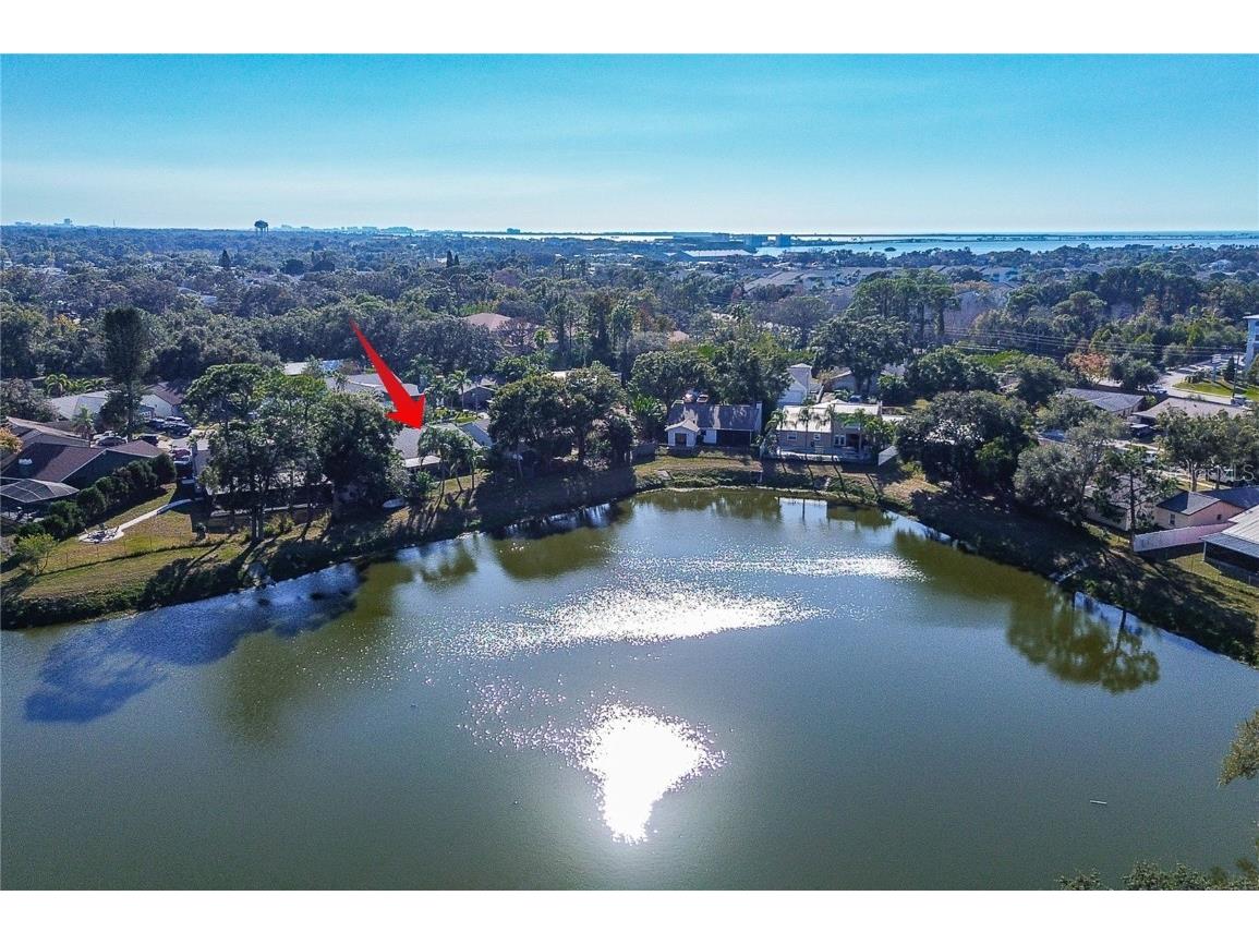 289 Whisper Lake Road Palm Harbor FL 34683 TB8447900 image36