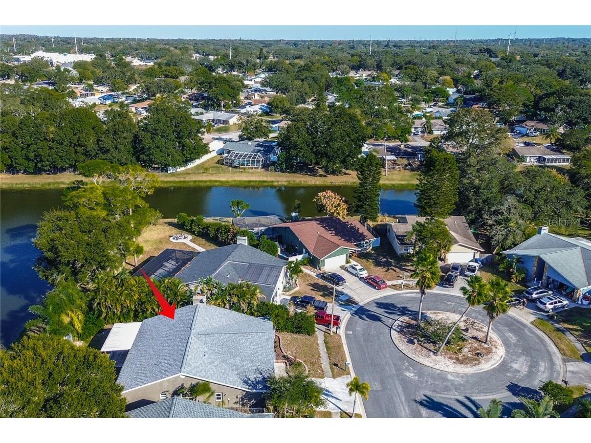 289 Whisper Lake Road Palm Harbor FL 34683 TB8447900 image38