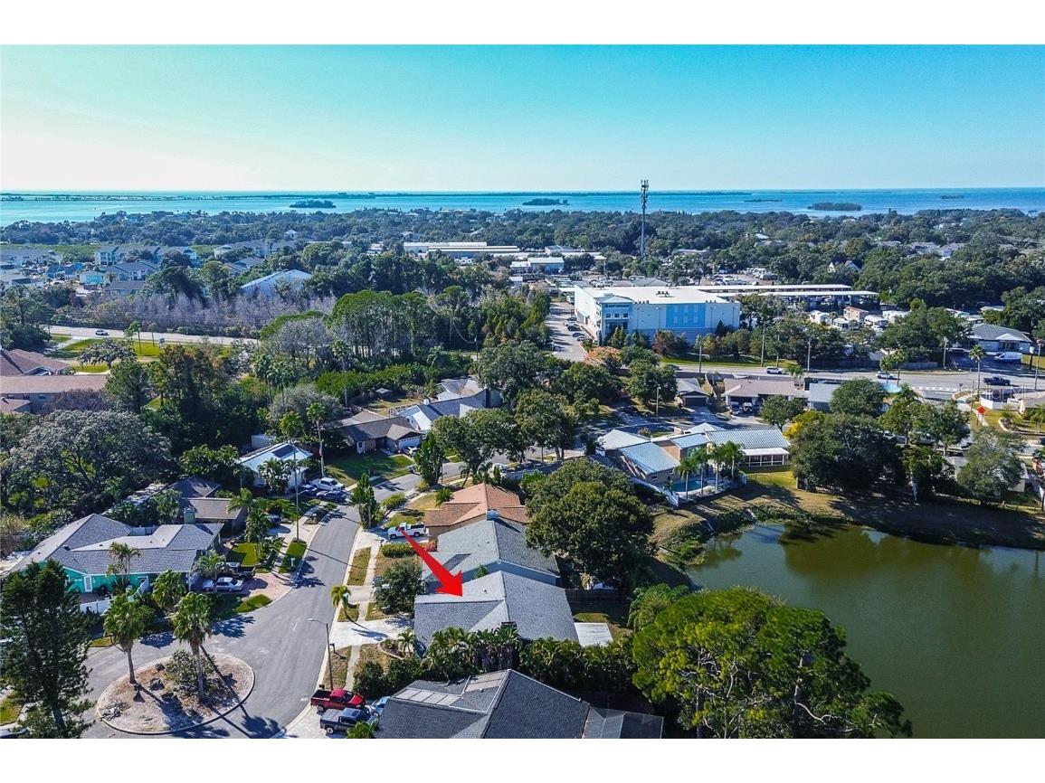 289 Whisper Lake Road Palm Harbor FL 34683 TB8447900 image39