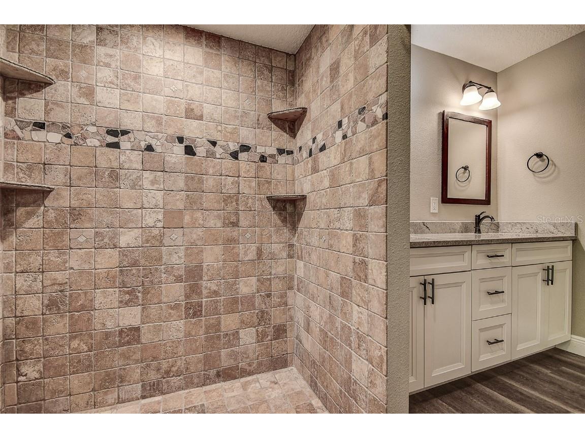 289 Whisper Lake Road Palm Harbor FL 34683 TB8447900 image9