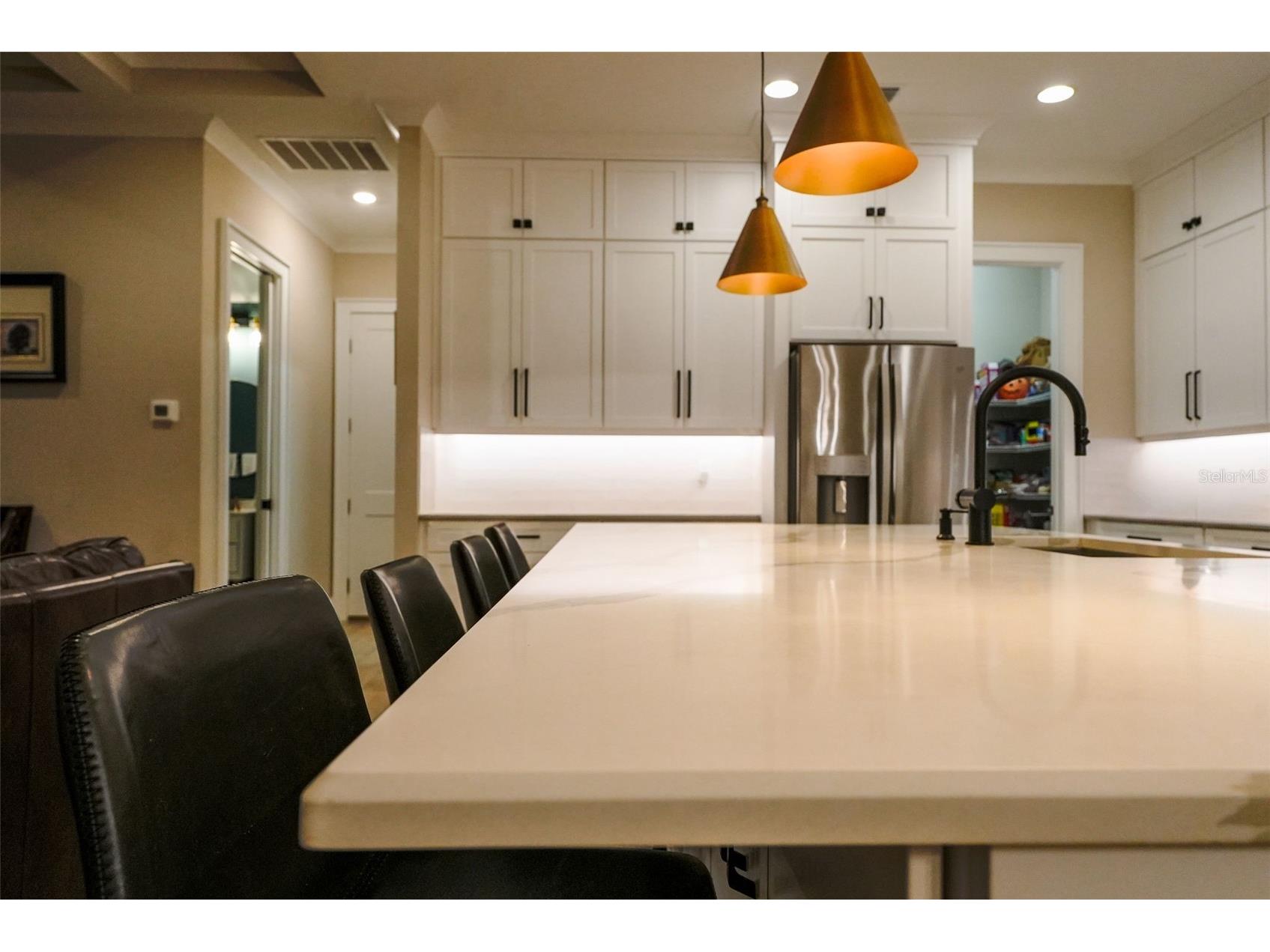 2890 Alexandria Marie Lane Lutz FL 33559 TB8495381 image32