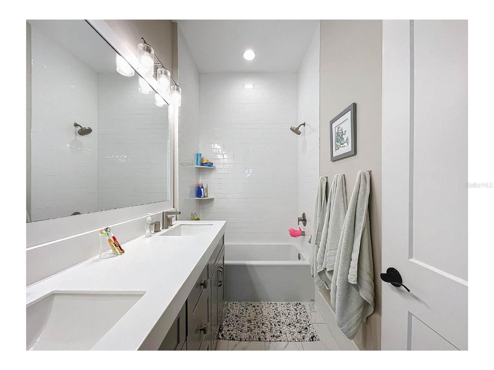 2890 Alexandria Marie Lane Lutz FL 33559 TB8495381 image47