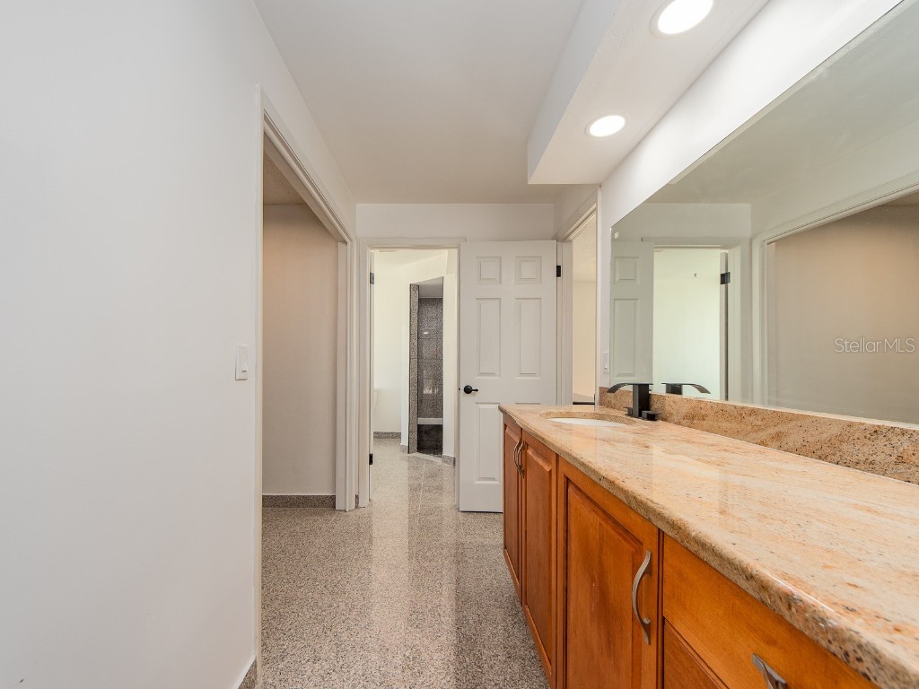 2890 Armadillo Drive Palm Harbor FL 34683 TB8437288 image18