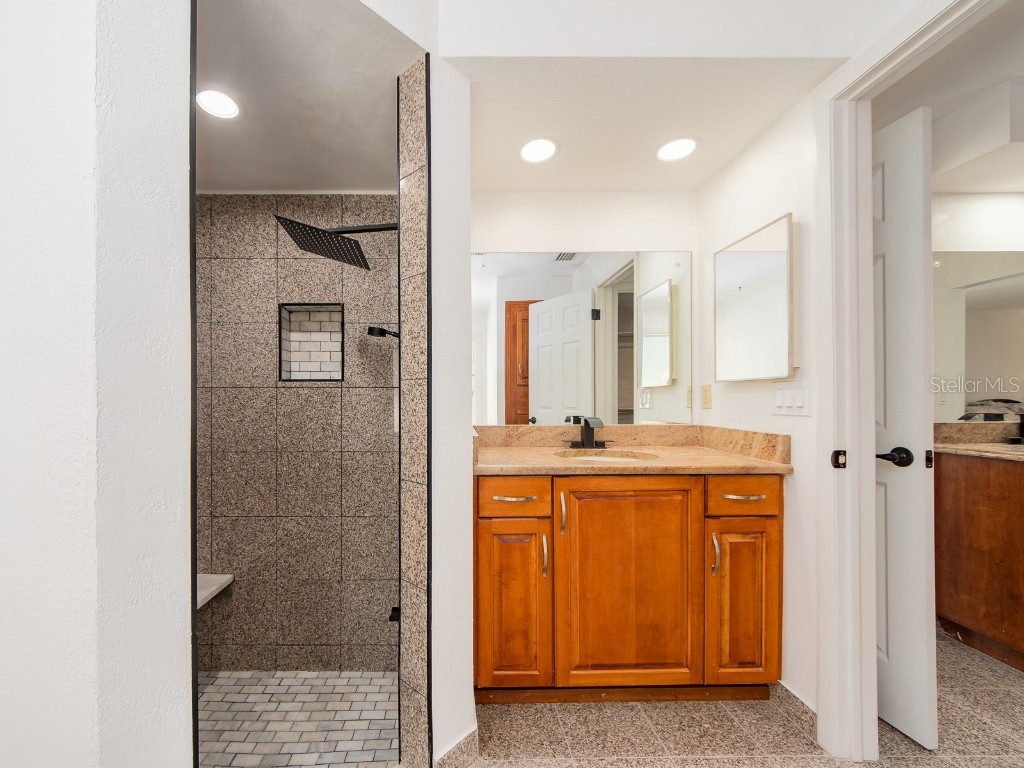 2890 Armadillo Drive Palm Harbor FL 34683 TB8437288 image20