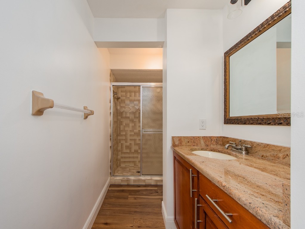 2890 Armadillo Drive Palm Harbor FL 34683 TB8437288 image30