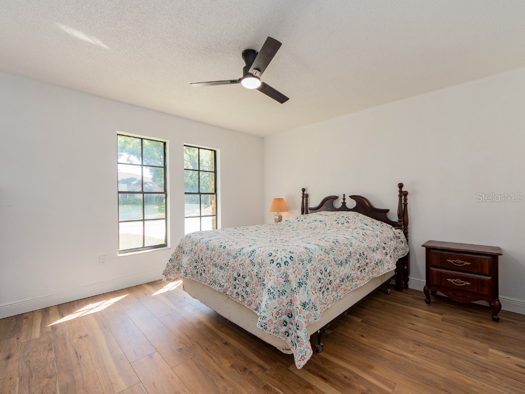 2890 Armadillo Drive Palm Harbor FL 34683 TB8437288 image34