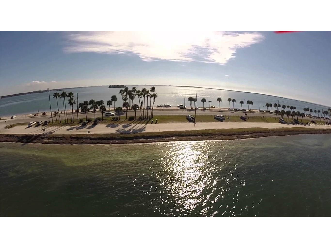 2890 Armadillo Drive Palm Harbor FL 34683 TB8437288 image43