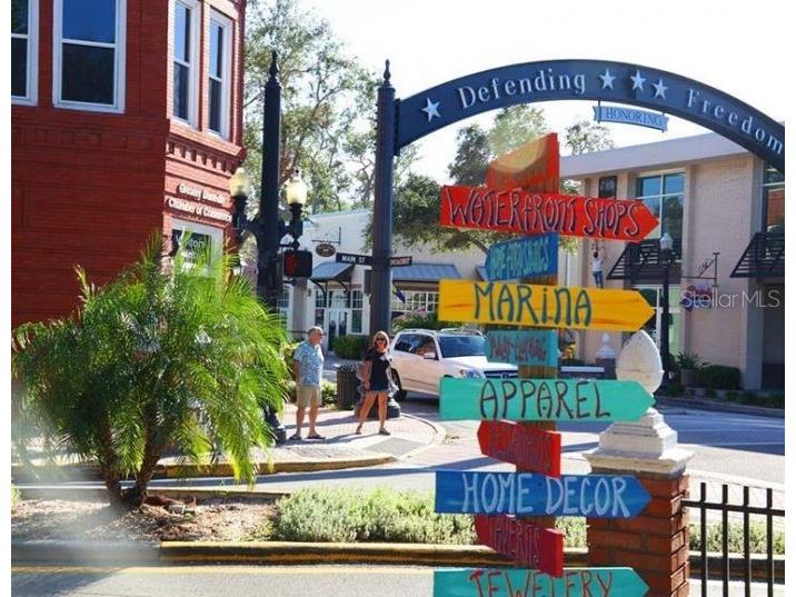 2890 Armadillo Drive Palm Harbor FL 34683 TB8437288 image44