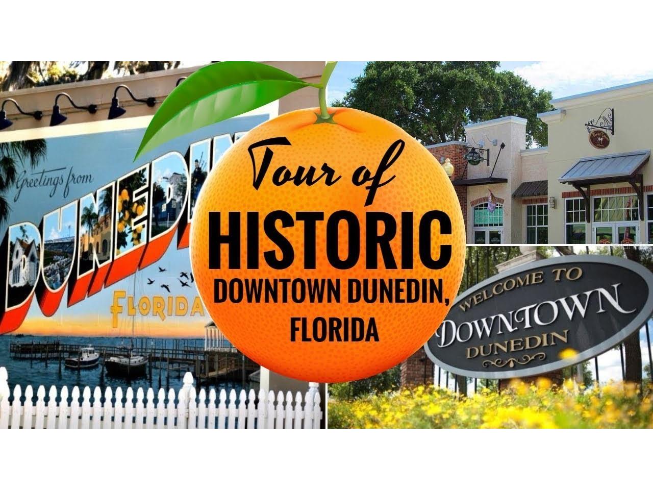 2890 Armadillo Drive Palm Harbor FL 34683 TB8437288 image45