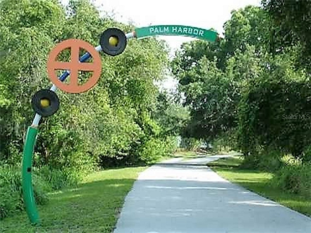 2890 Armadillo Drive Palm Harbor FL 34683 TB8437288 image46