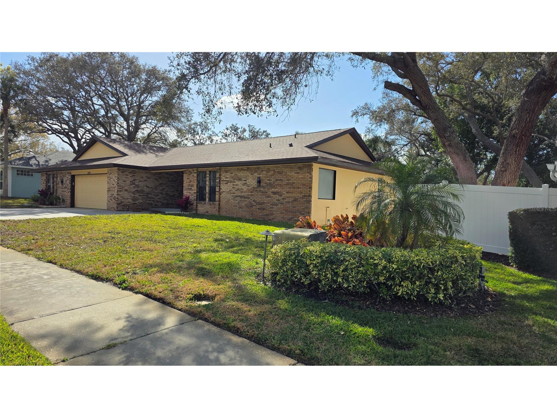 2890 Armadillo Drive Palm Harbor FL 34683 TB8477131 image52