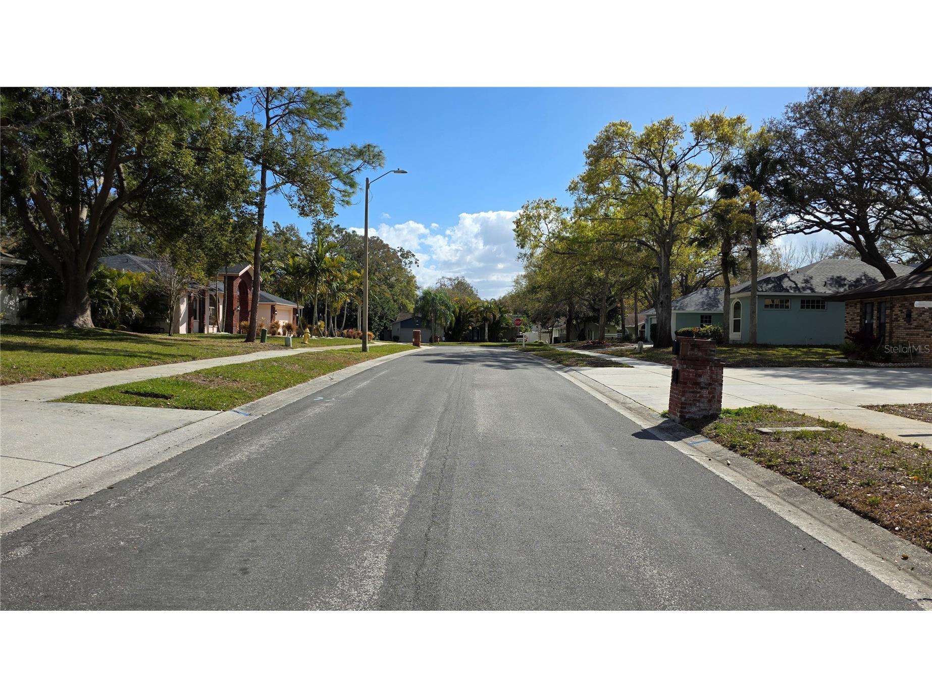 2890 Armadillo Drive Palm Harbor FL 34683 TB8477131 image59