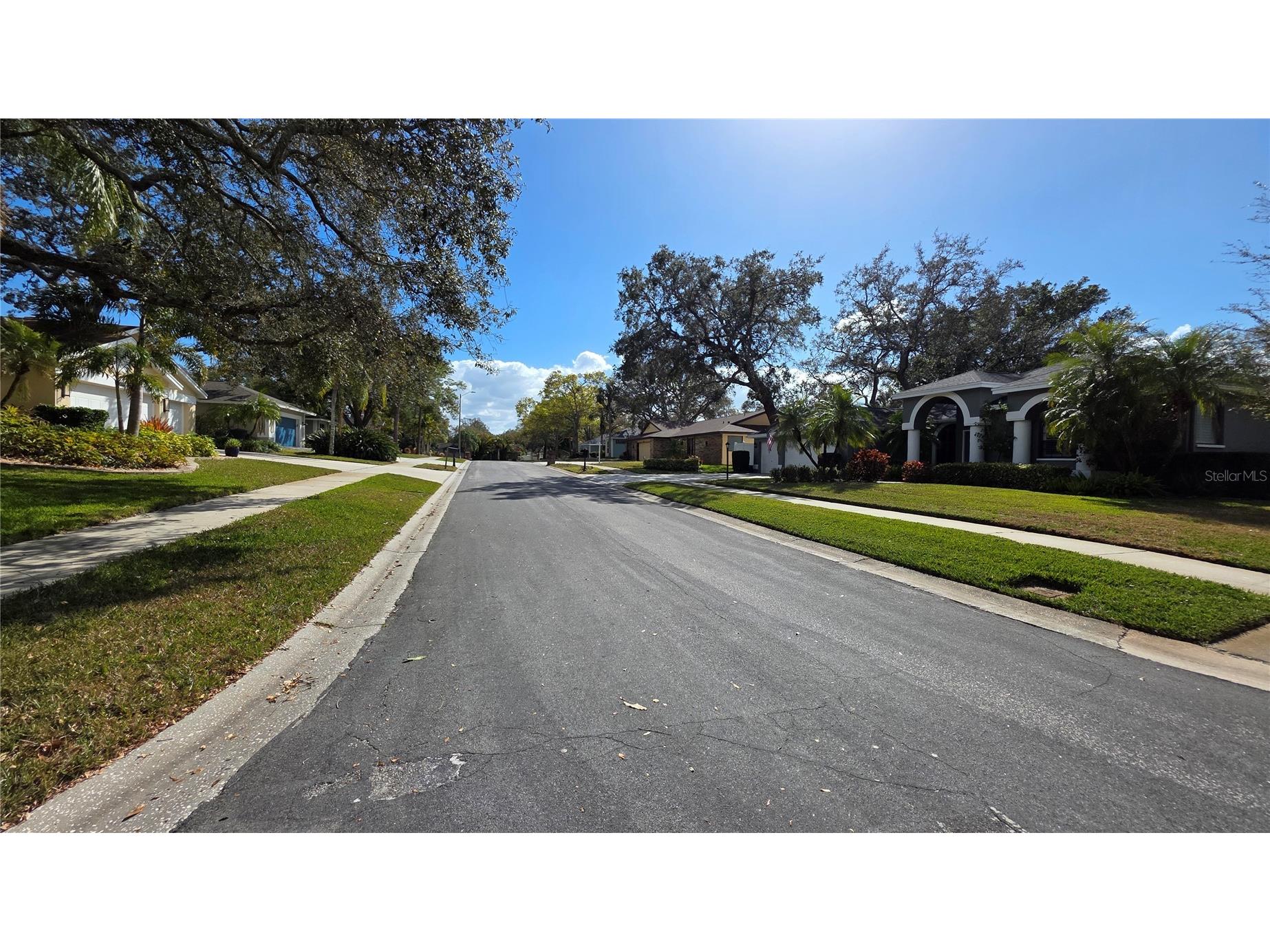 2890 Armadillo Drive Palm Harbor FL 34683 TB8477131 image60