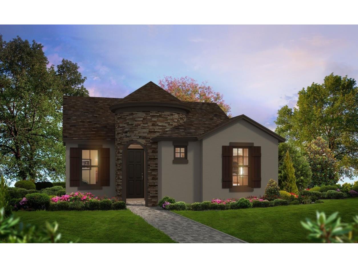 28901 Seedling Street Wesley Chapel FL 33543 T3431451 image1