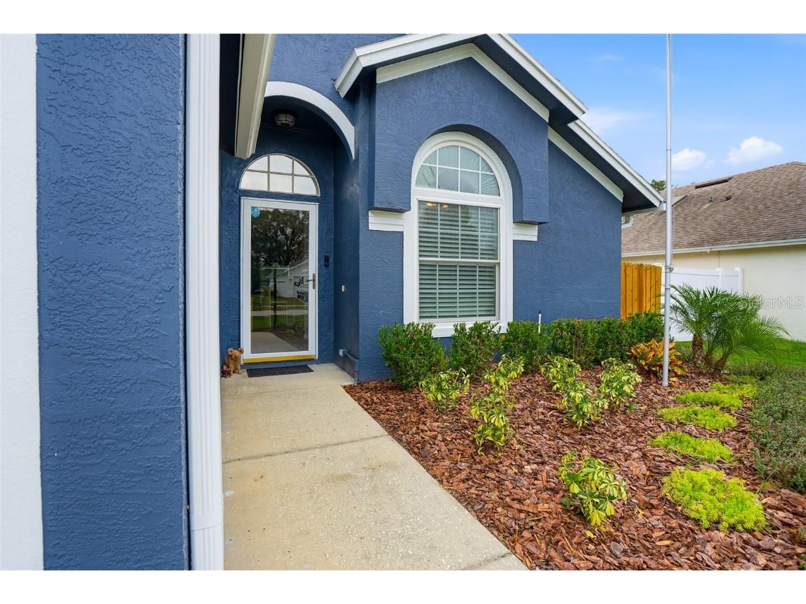 28907 Bay Tree Place Wesley Chapel FL 33545 TB8452317 image11