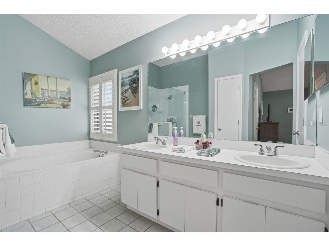 28907 Bay Tree Place Wesley Chapel FL 33545 TB8452317 image22