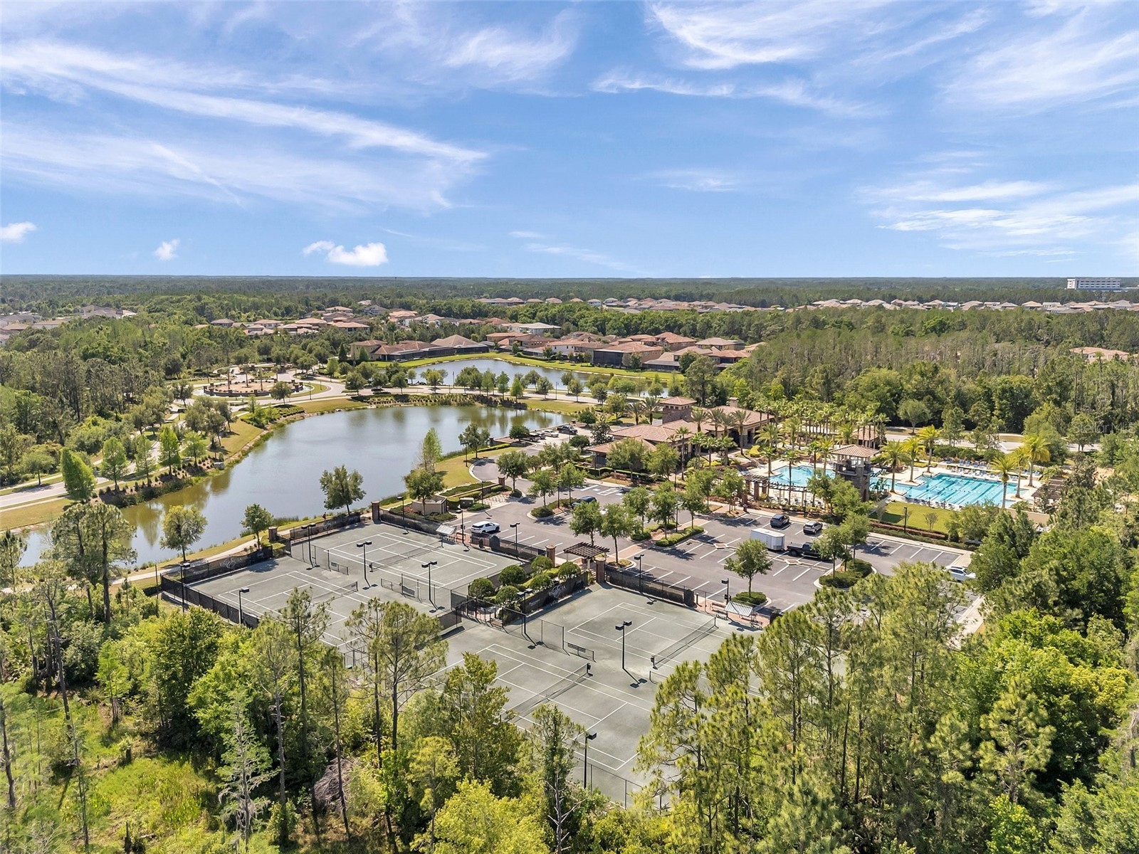 28907 Revaro Lane Wesley Chapel FL 33543 TB8496181 image100
