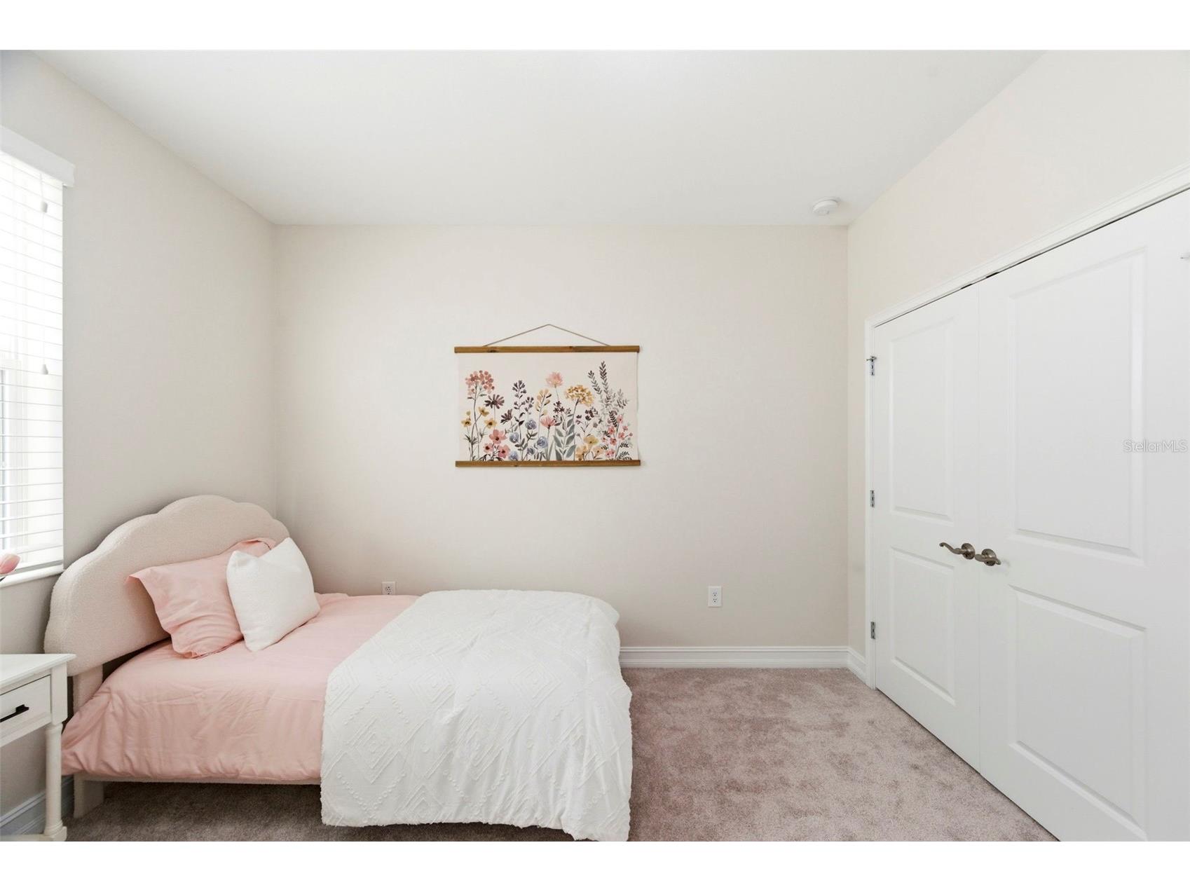 28907 Revaro Lane Wesley Chapel FL 33543 TB8496181 image52