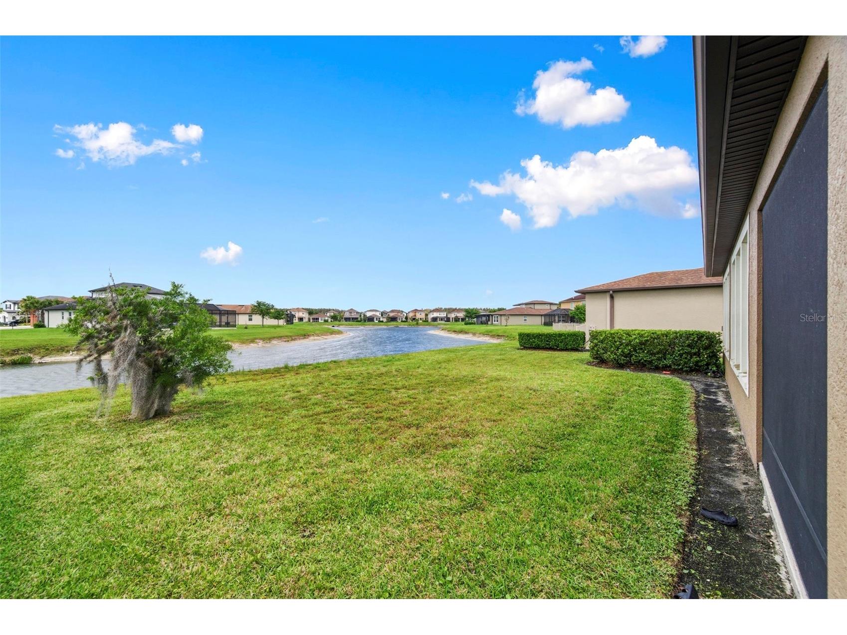 28907 Revaro Lane Wesley Chapel FL 33543 TB8496181 image58