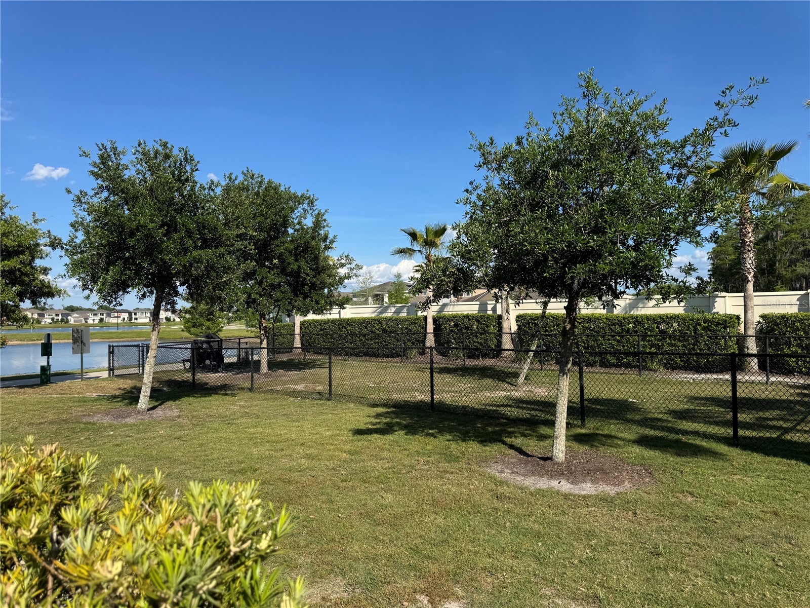 2891 Avian Loop Kissimmee FL 34741 S5147762 image48