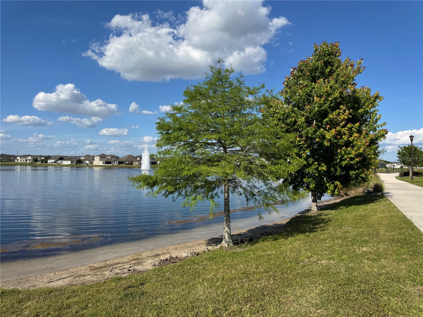 2891 Avian Loop Kissimmee FL 34741 S5147762 image49