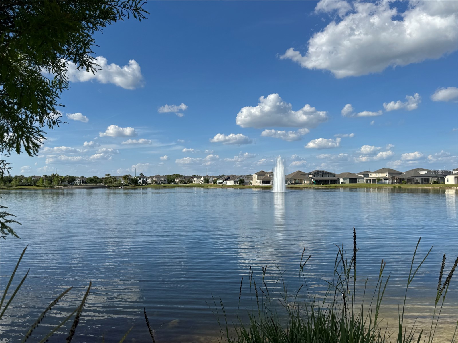 2891 Avian Loop Kissimmee FL 34741 S5147762 image50