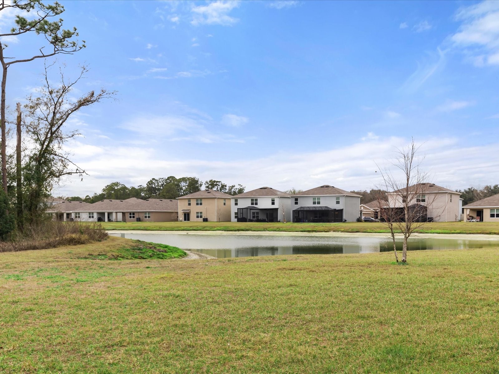 2891 Lotus Flower Trail Wesley Chapel FL 33543 TB8471261 image36