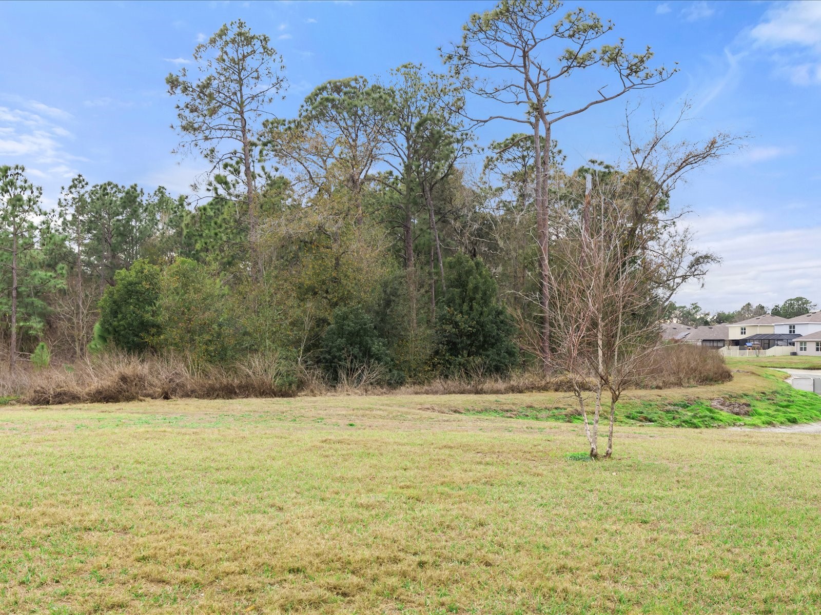 2891 Lotus Flower Trail Wesley Chapel FL 33543 TB8471261 image37