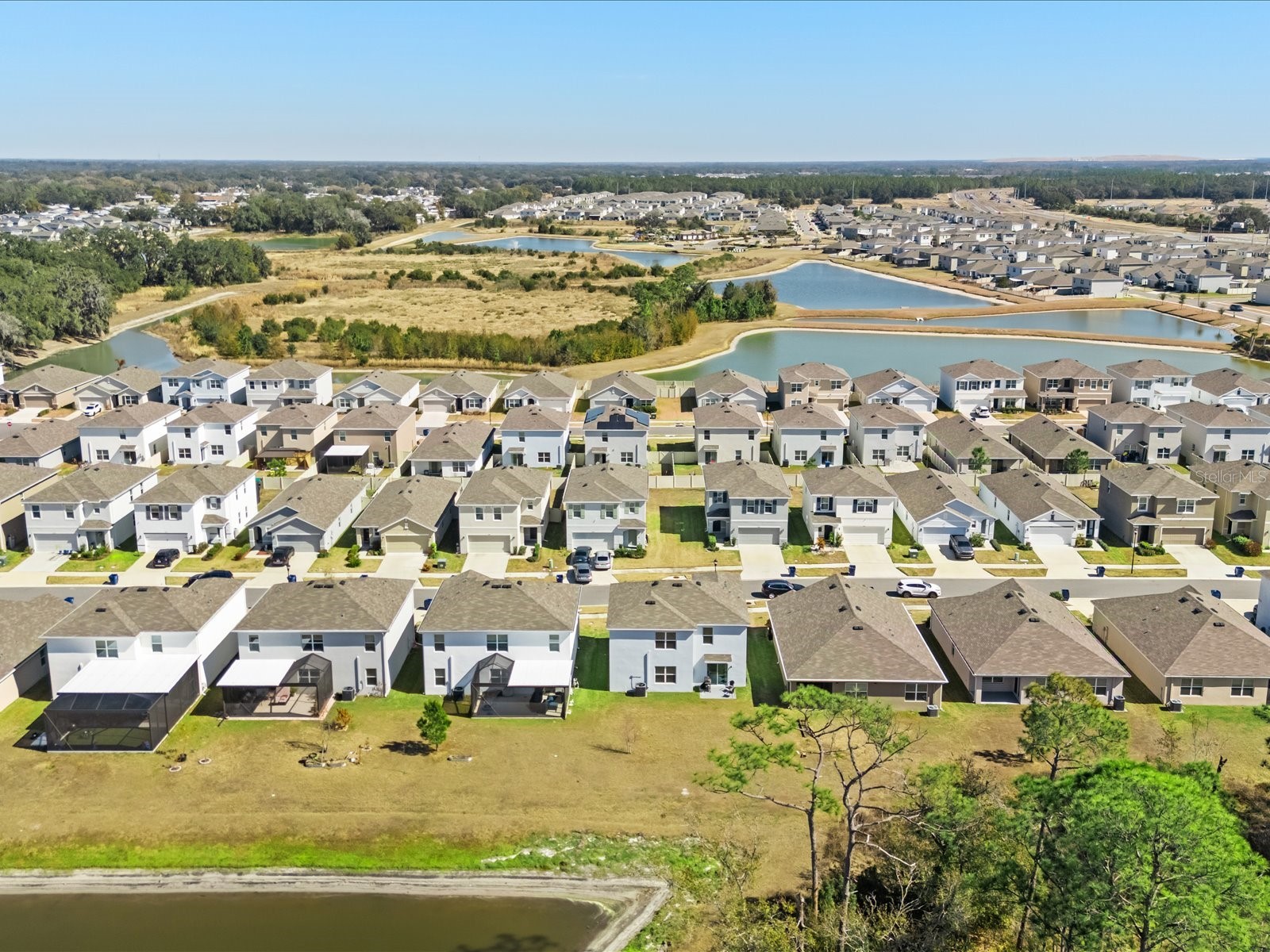 2891 Lotus Flower Trail Wesley Chapel FL 33543 TB8471261 image38