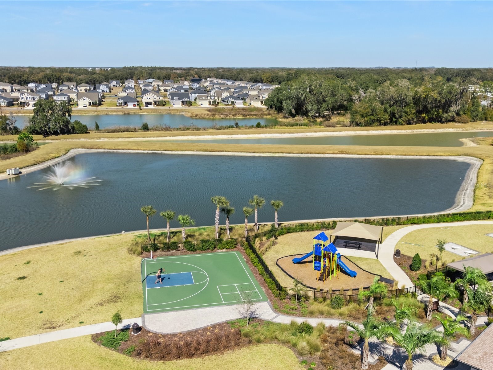 2891 Lotus Flower Trail Wesley Chapel FL 33543 TB8471261 image41