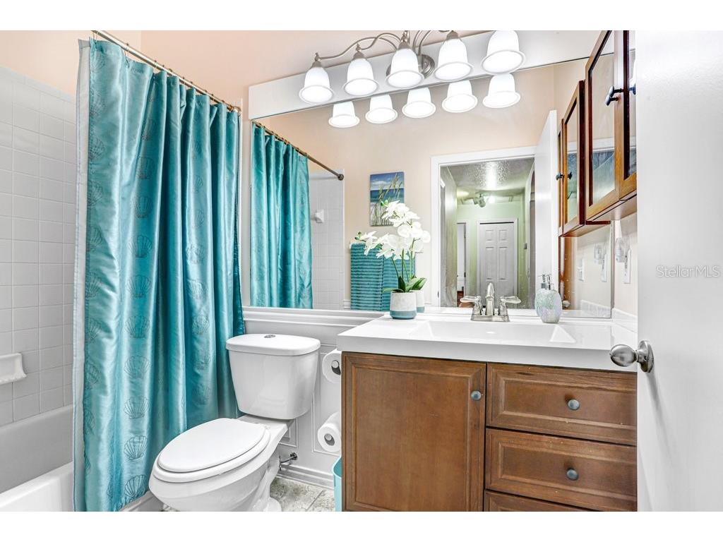 28912 Burke Mill Place Wesley Chapel FL 33545 TB8483575 image16