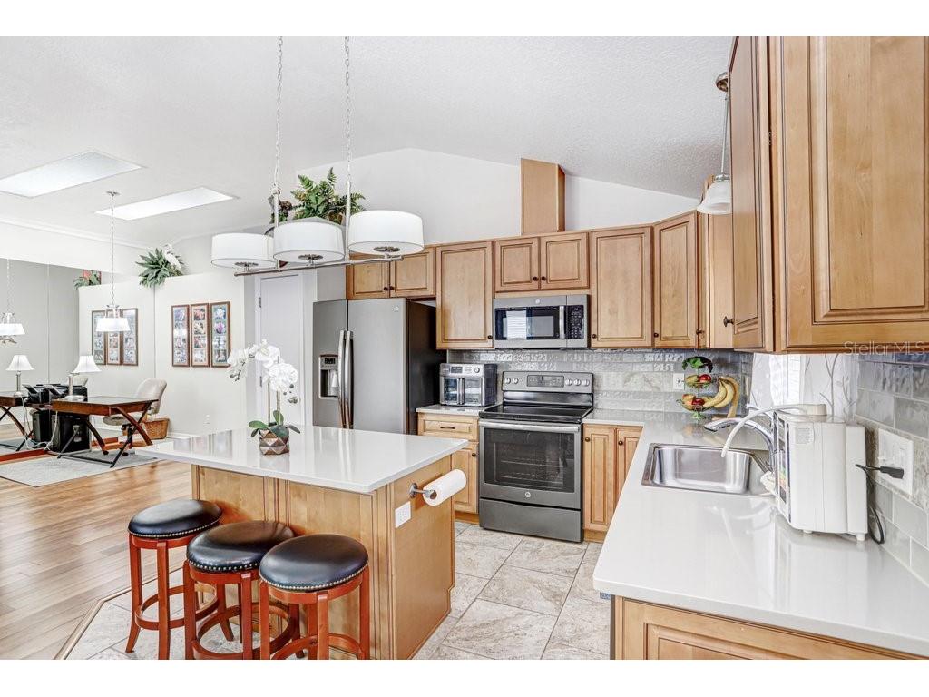 28912 Burke Mill Place Wesley Chapel FL 33545 TB8483575 image3