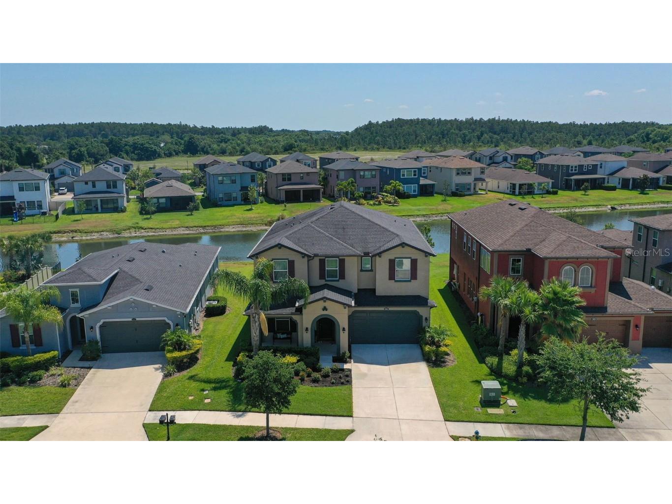 28915 Lucero Lane Wesley Chapel FL 33543 T3530399 image1