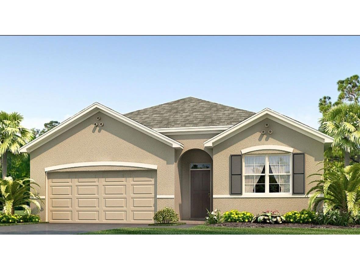 2892 Common Fig Run Wesley Chapel FL 33543 J965276 image1