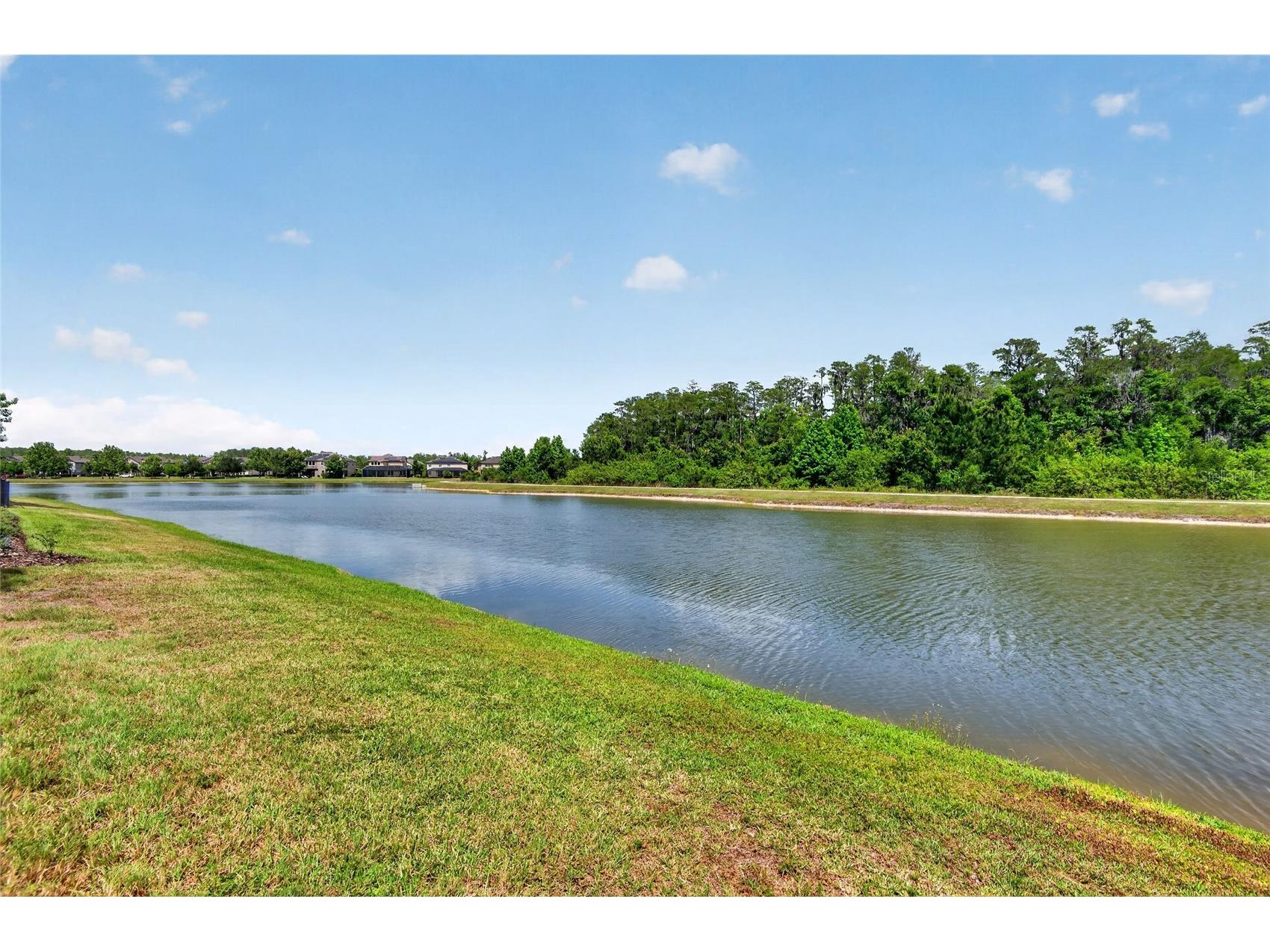 2892 Riders Pass Odessa FL 33556 TB8501461 image52