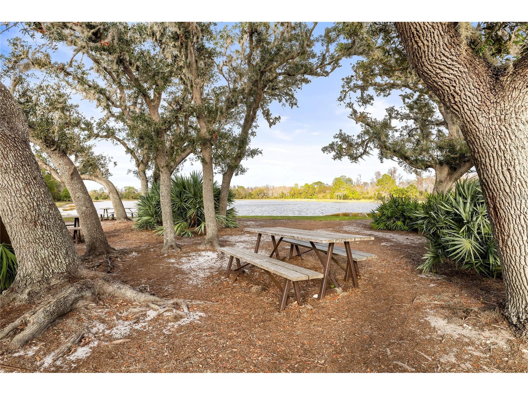 2892 Riders Pass Odessa FL 33556 TB8501461 image70