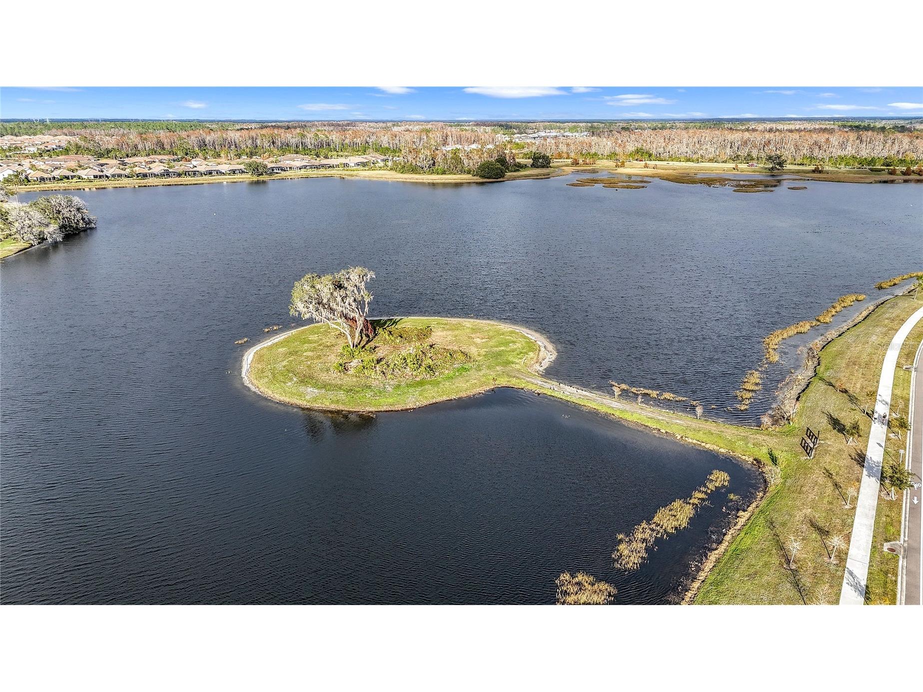 2892 Riders Pass Odessa FL 33556 TB8501461 image71