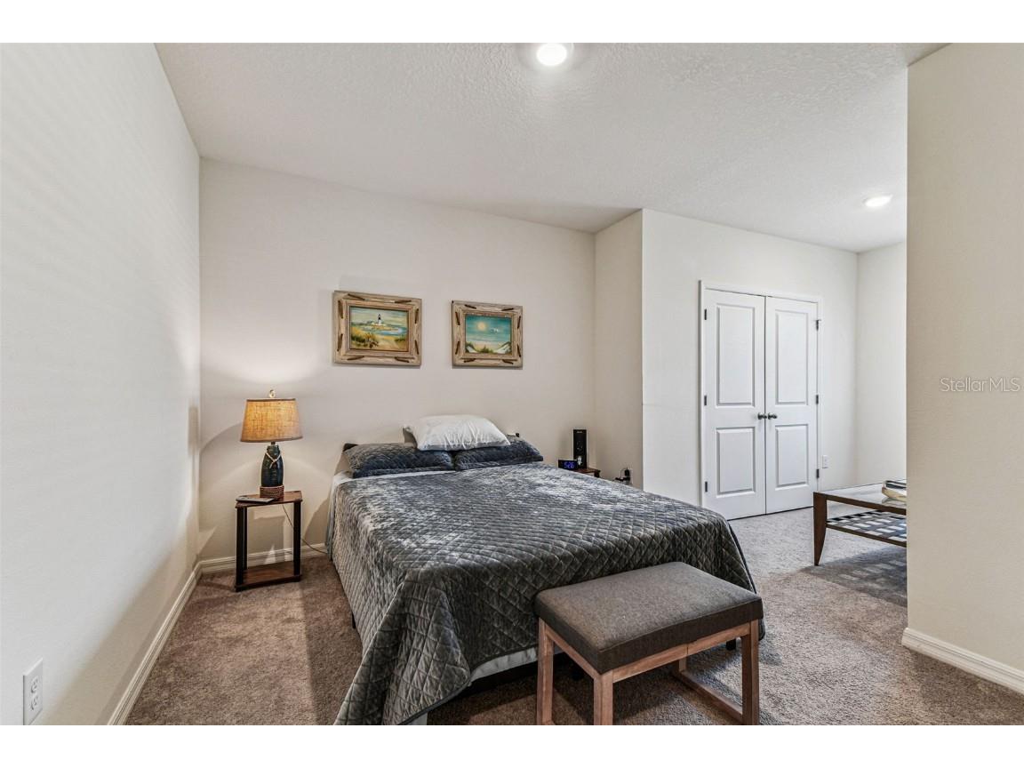 2893 Suncoast Plains Drive Odessa FL 33556 TB8420289 image21