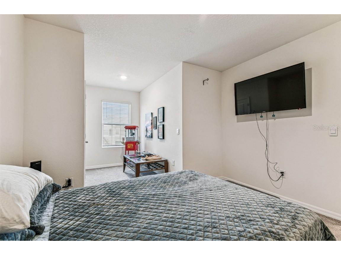 2893 Suncoast Plains Drive Odessa FL 33556 TB8420289 image22