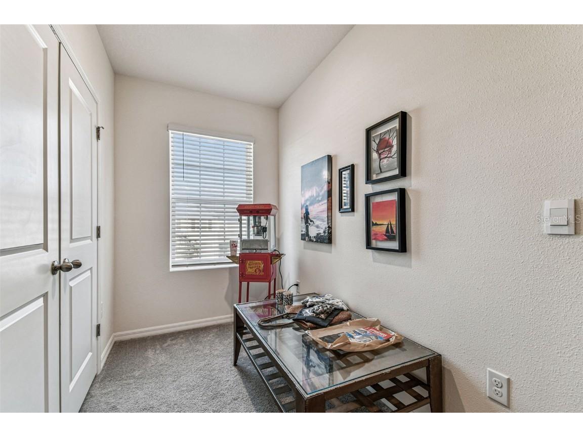 2893 Suncoast Plains Drive Odessa FL 33556 TB8420289 image23