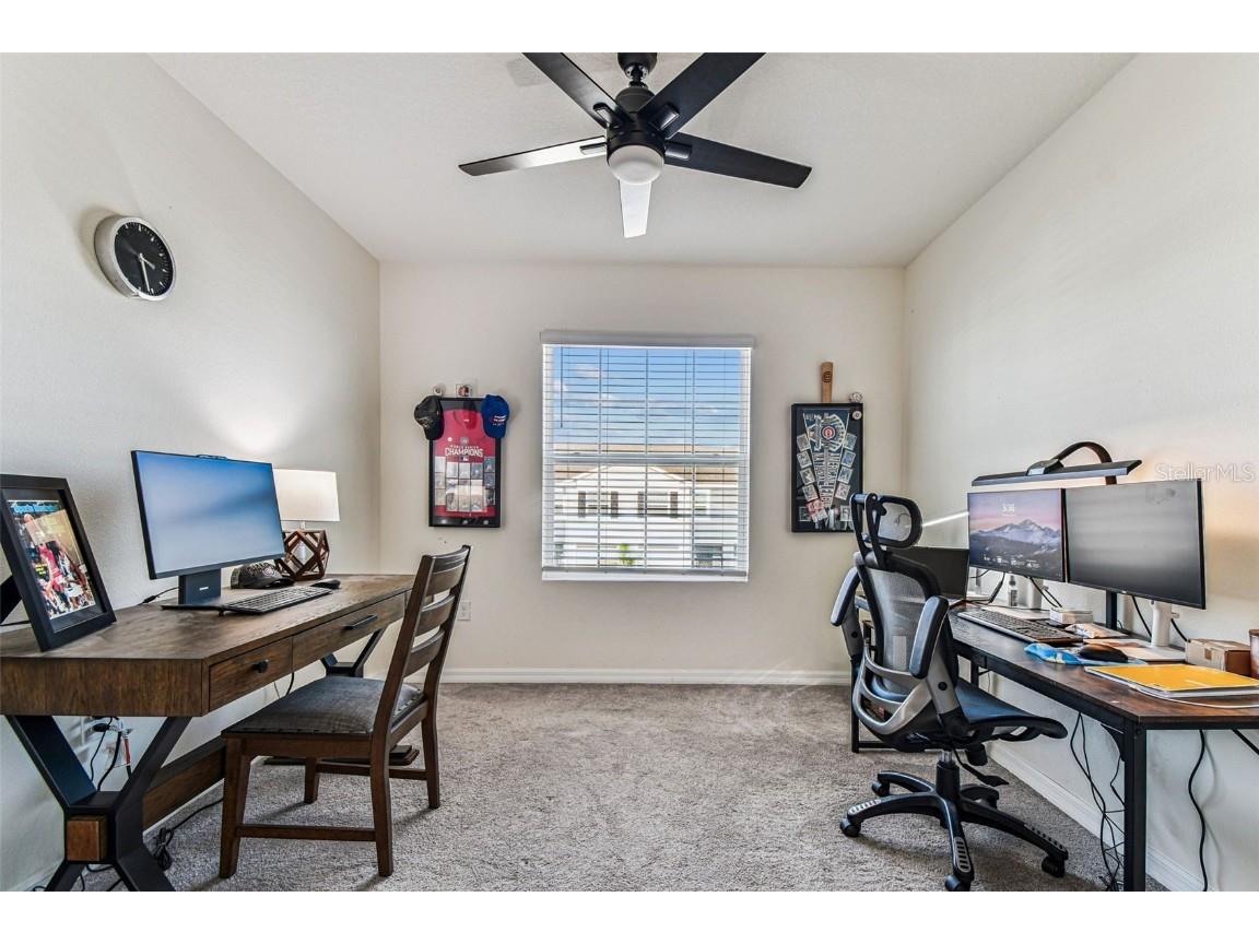 2893 Suncoast Plains Drive Odessa FL 33556 TB8420289 image26