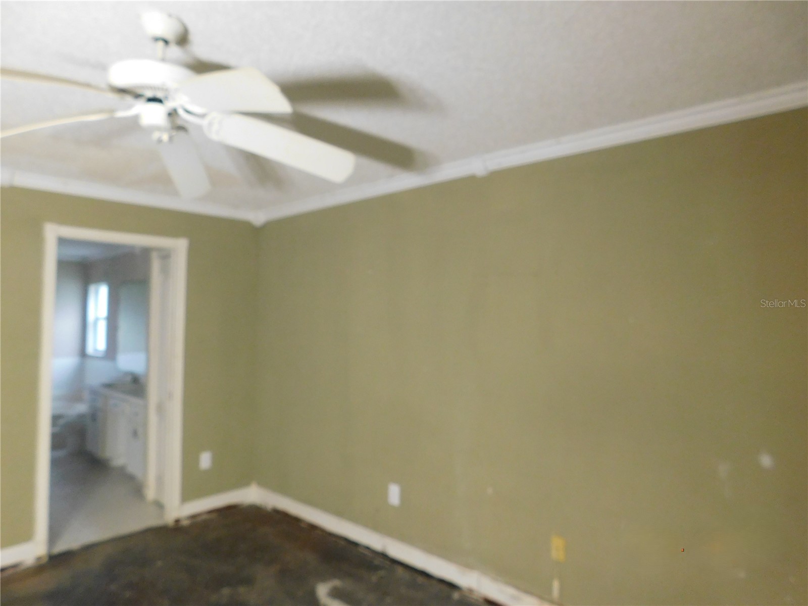 28934 Stormcloud Pass Wesley Chapel FL 33543 TB8517144 image14