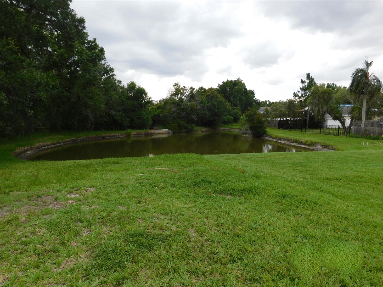 28934 Stormcloud Pass Wesley Chapel FL 33543 TB8517144 image17