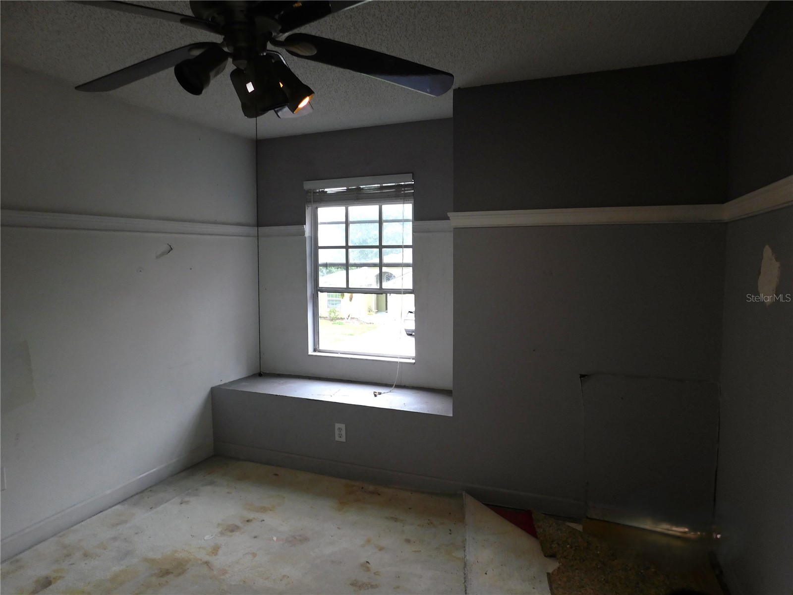 28934 Stormcloud Pass Wesley Chapel FL 33543 TB8517144 image7