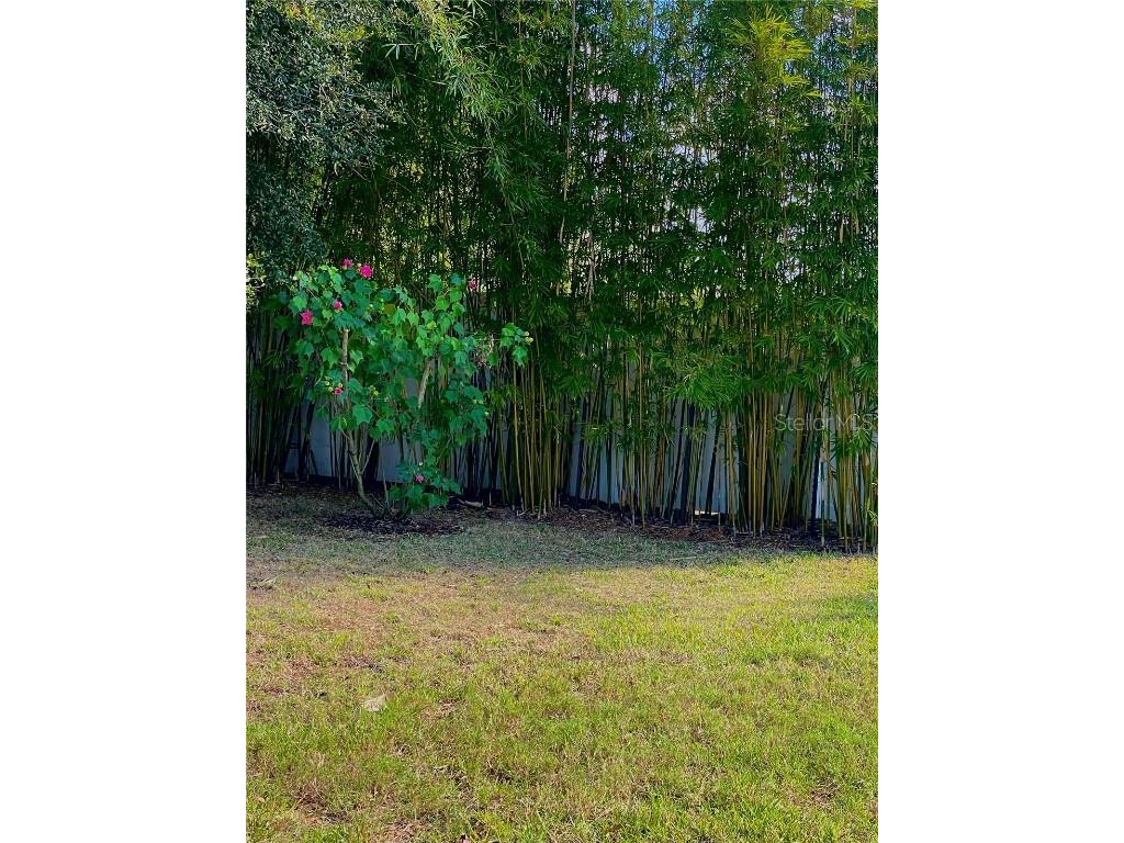 2894 Sand Oak Loop Apopka FL 32712 O6363849 image20