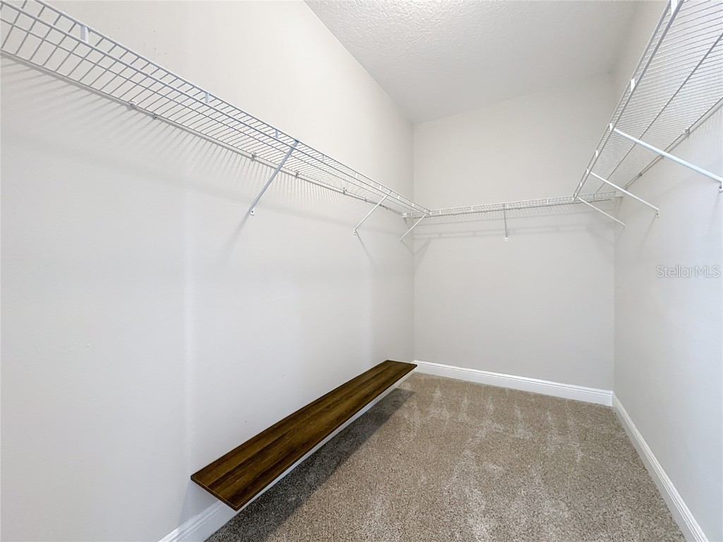 2894 Sand Oak Loop Apopka FL 32712 O6363849 image48