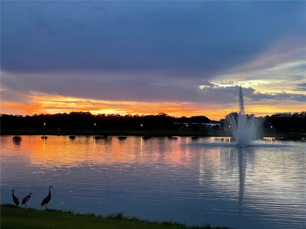 2894 Sand Oak Loop Apopka FL 32712 O6363849 image69